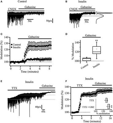 Insulin Regulates GABAA Receptor-Mediated Tonic Currents in the Prefrontal Cortex